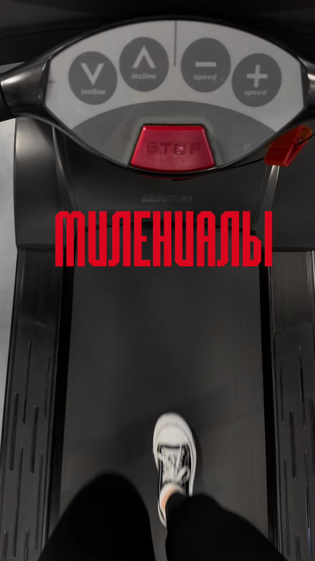@Ольга Порядочная