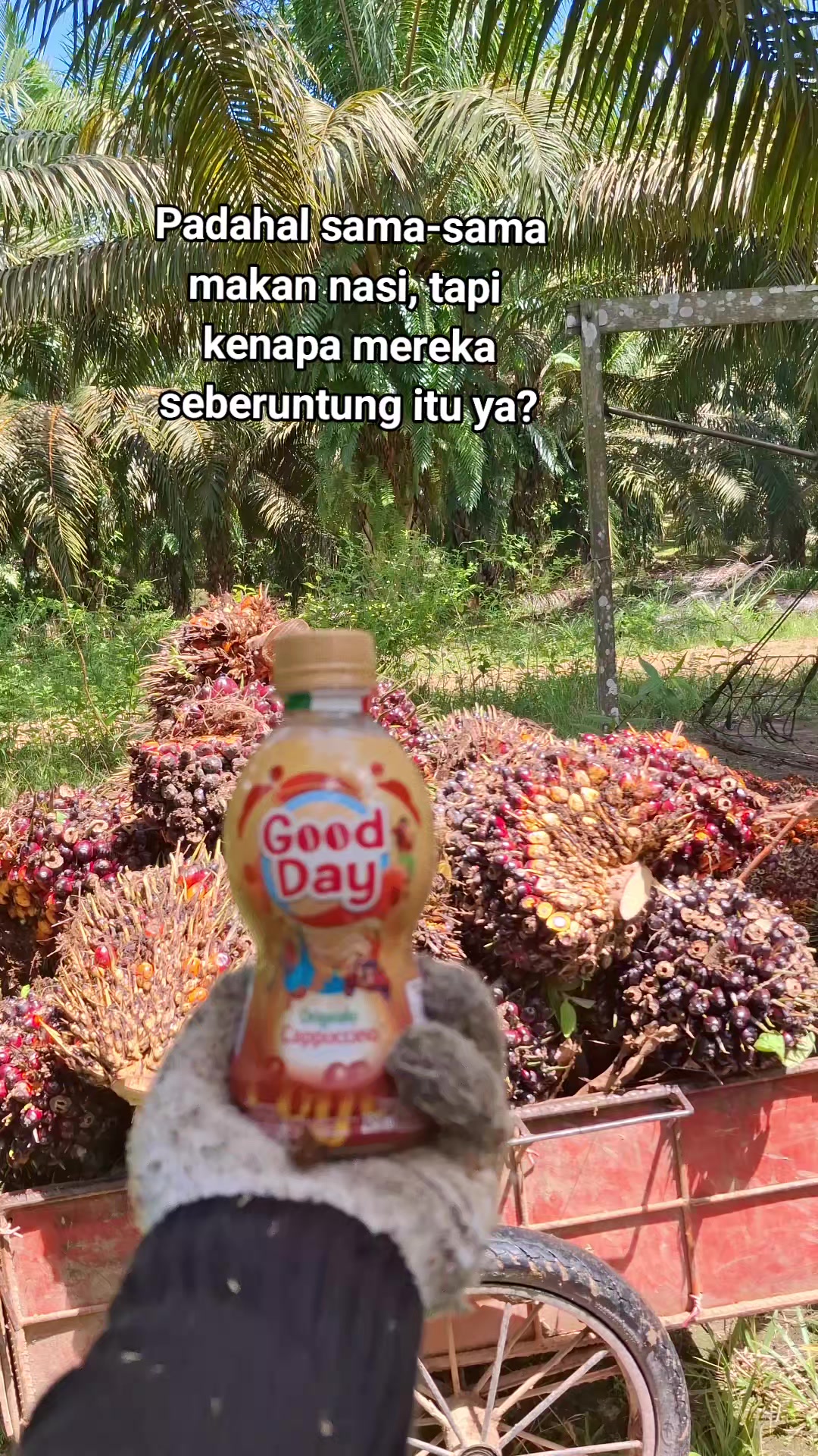 @Trijelo✝️✝️