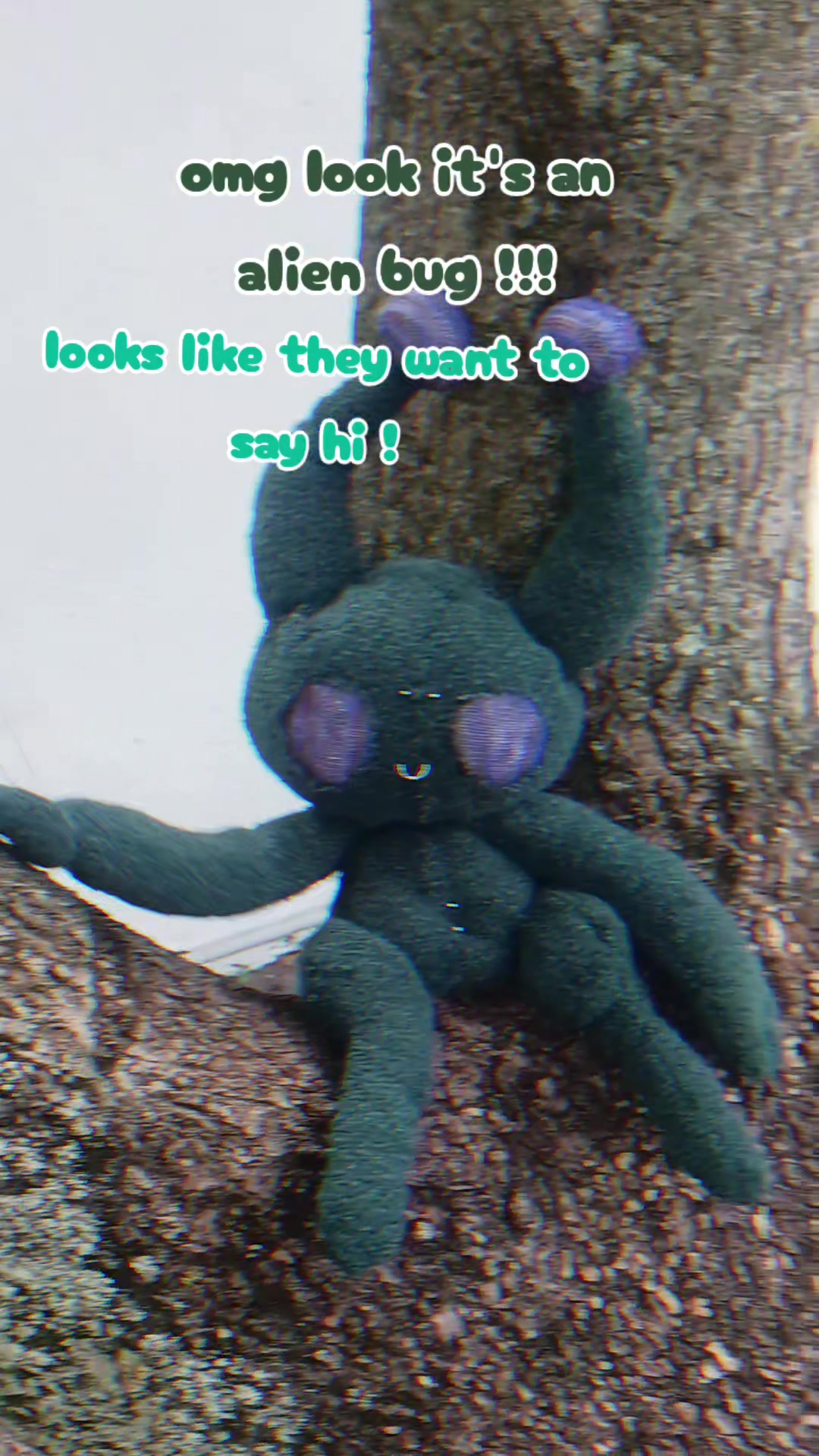 @virulent.creature