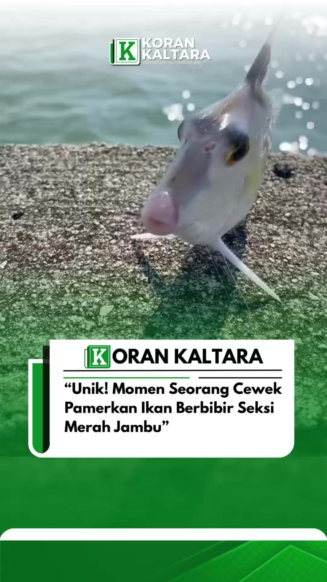 @korankaltara
