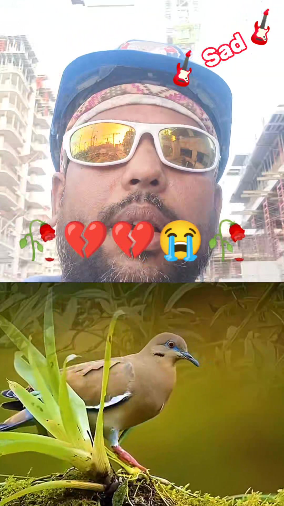 @Prem Kishor