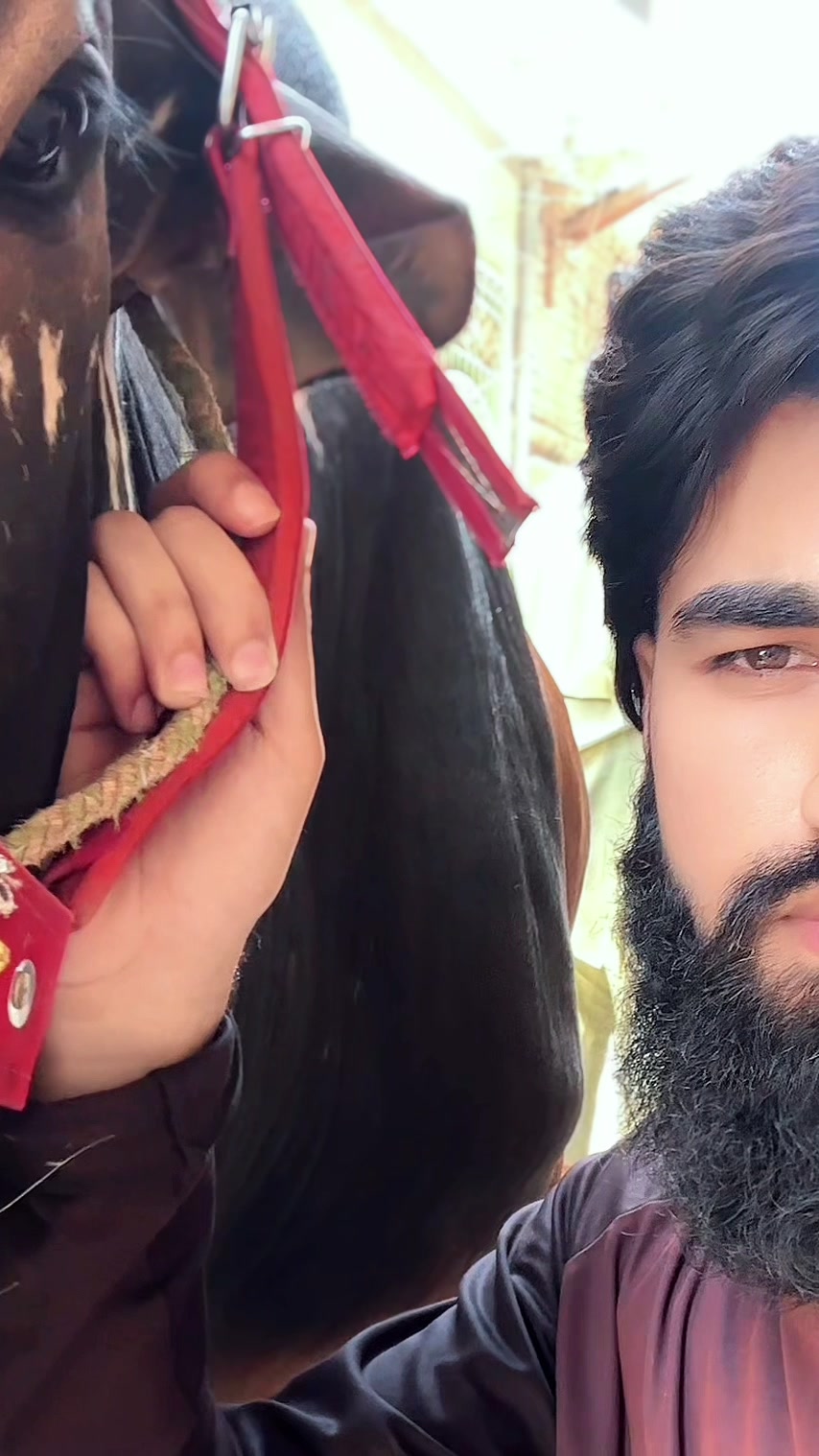 @رانا_ا ح م_د🔥