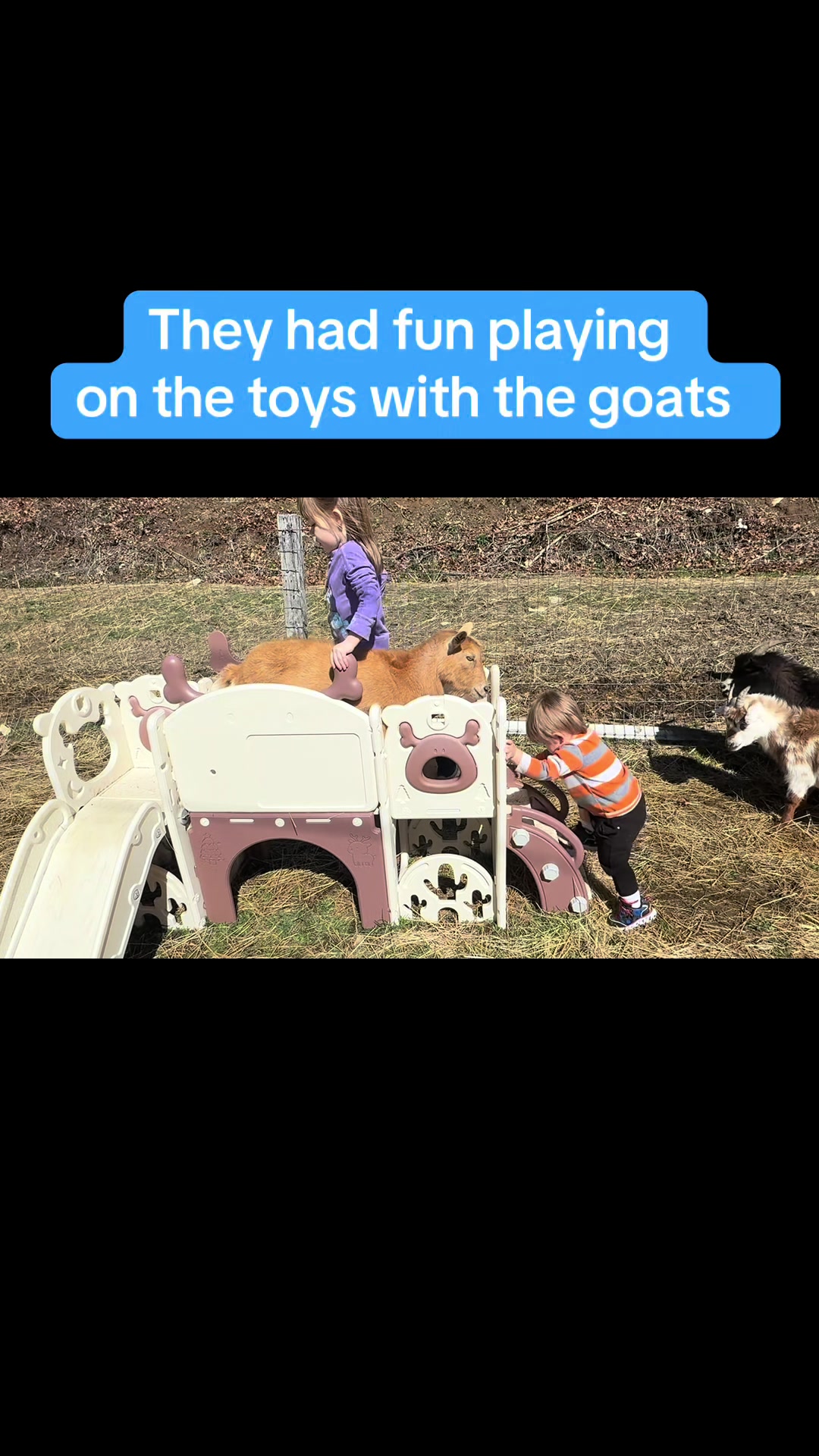 @Janet..Fuzzy.farm.gang