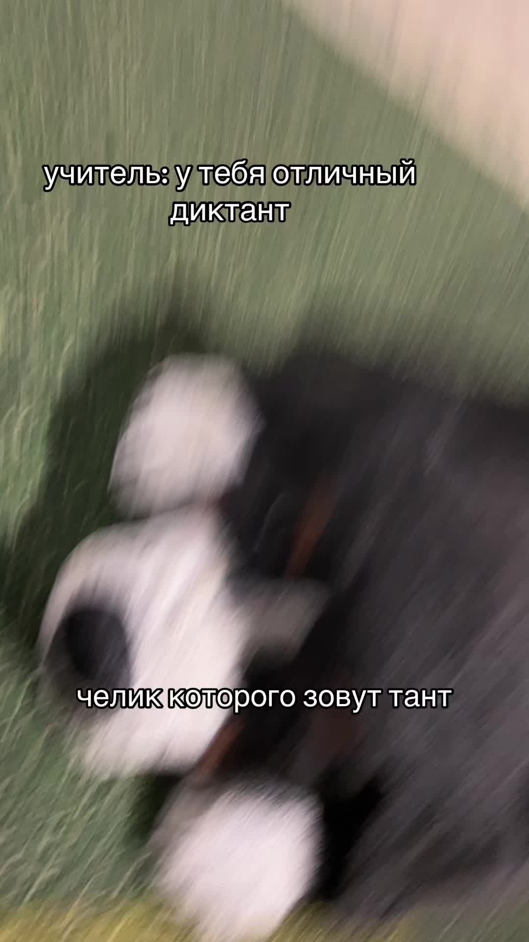 @jesusv1max