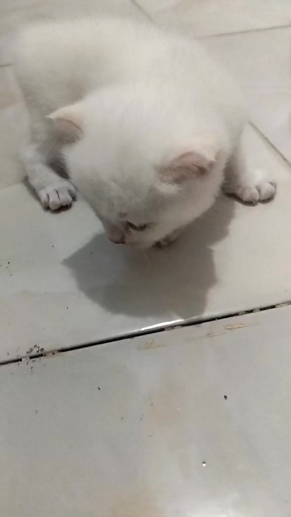 @Erma Mawing