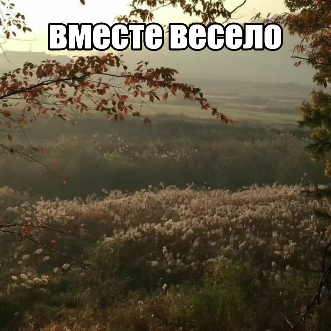 @andreas.