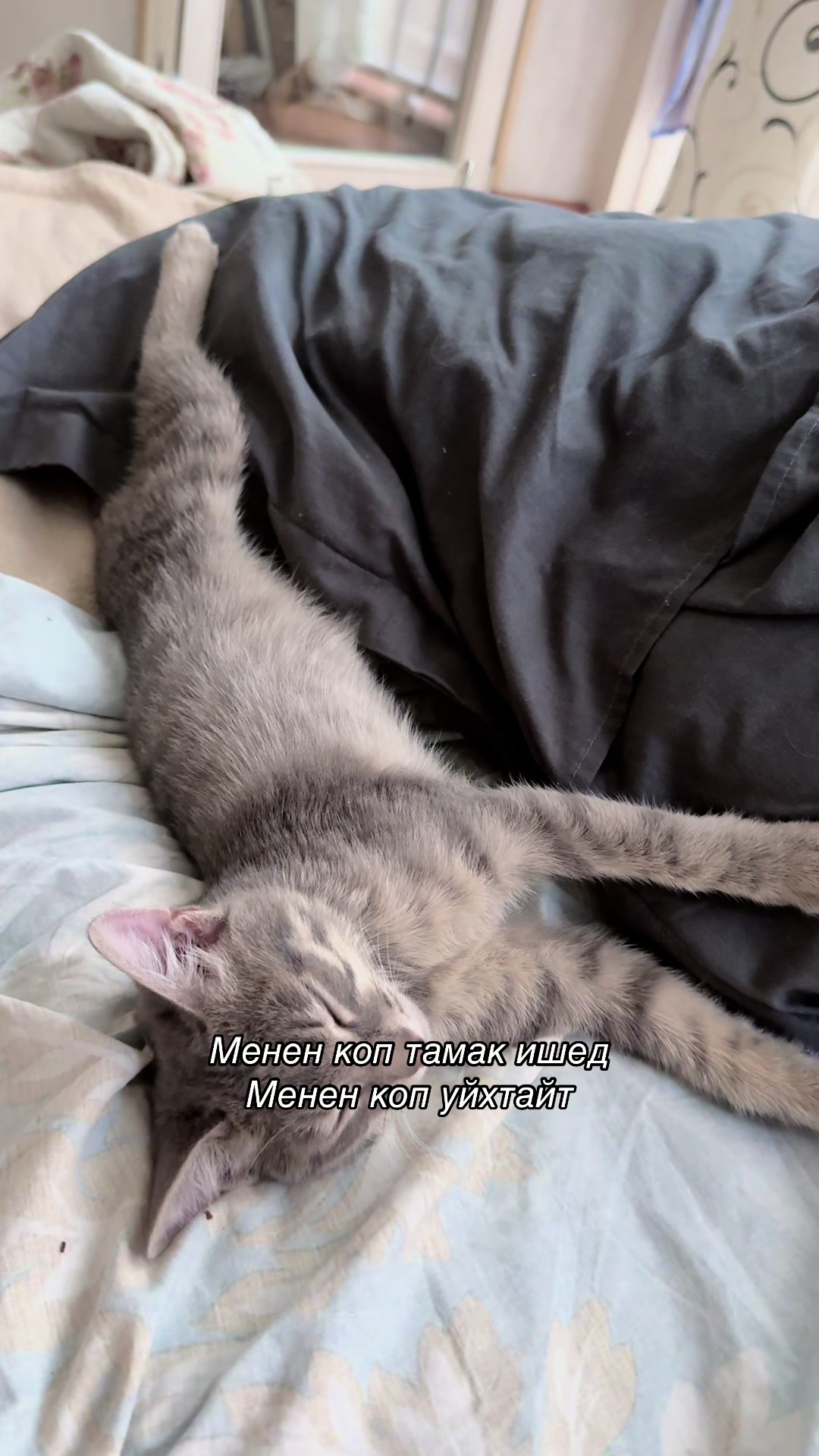 @iceberg7x7