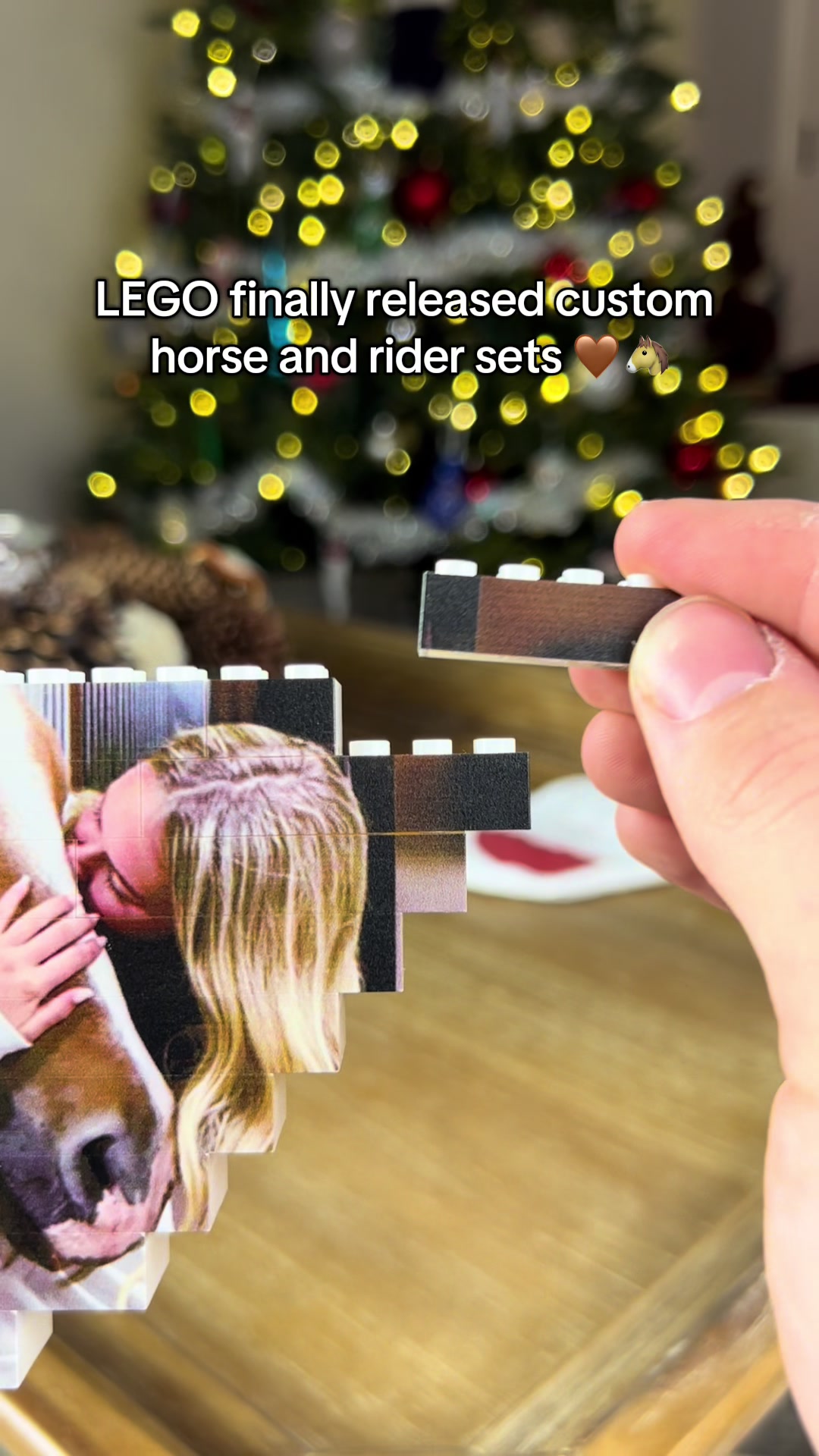 @StableBricks