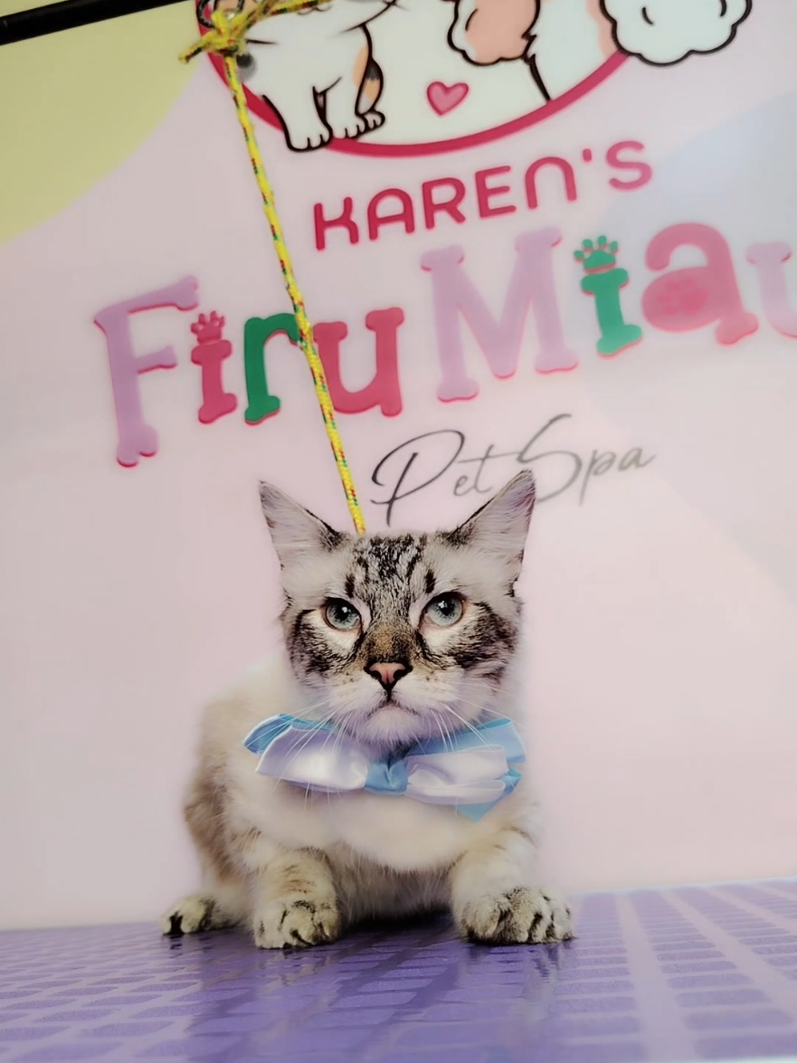 @FIRUMIAUS