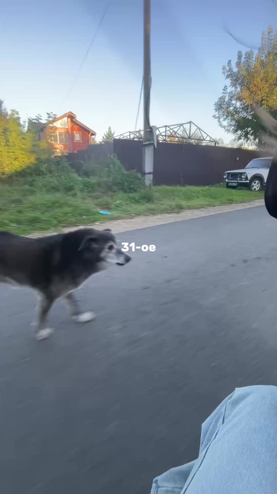 @$🤍🐈⬛