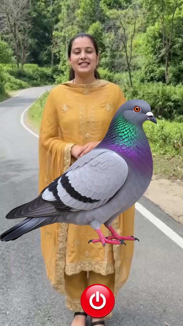 @PRAJAPATI BAUWA