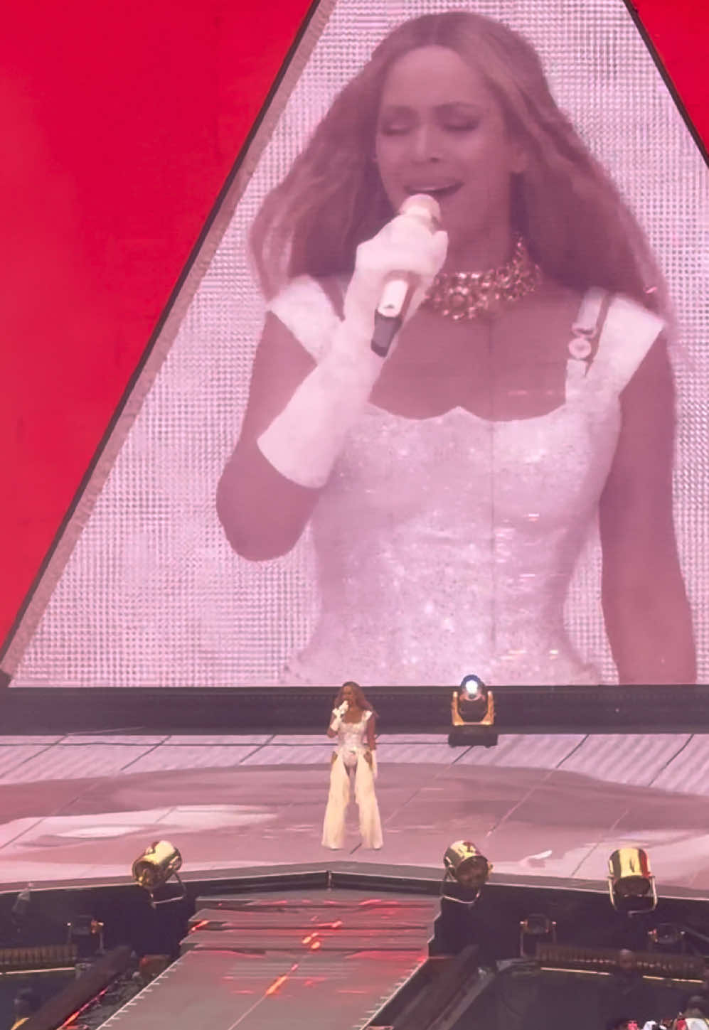 @Sophie 🐝