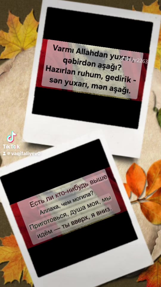 @1969 BAKI