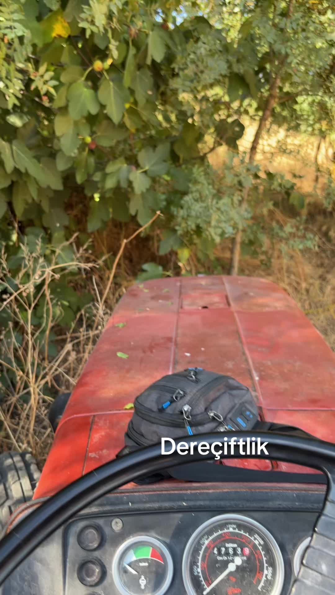 @balikesirli Hayati