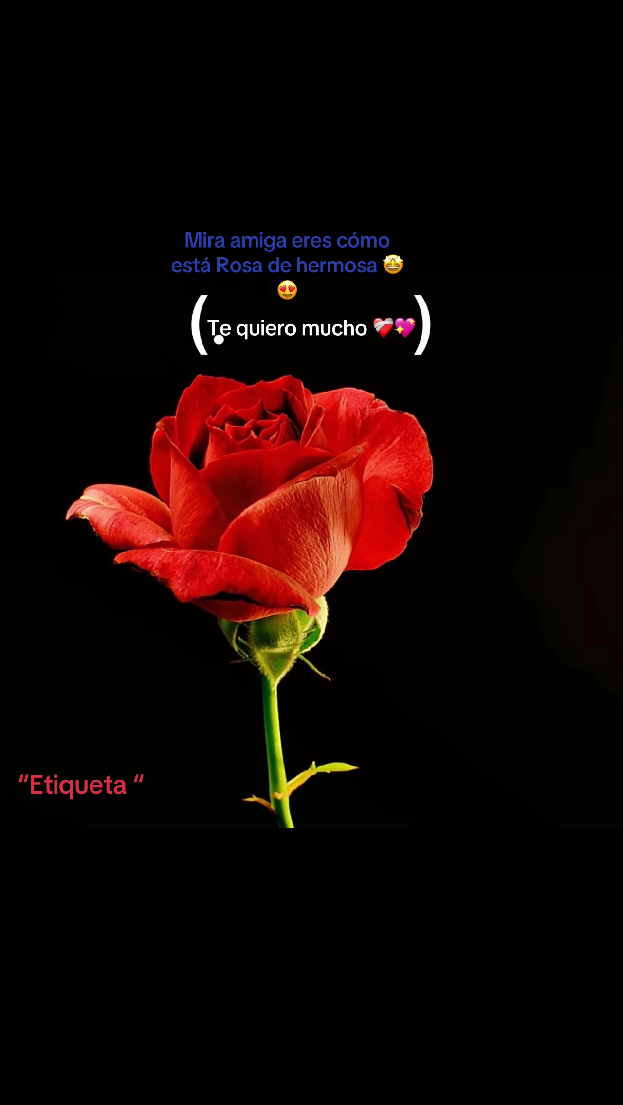 @Ale 😍❤️&zwj;🩹