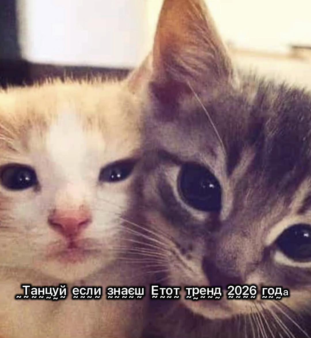 @Танцюй як що знаєш цей тренд