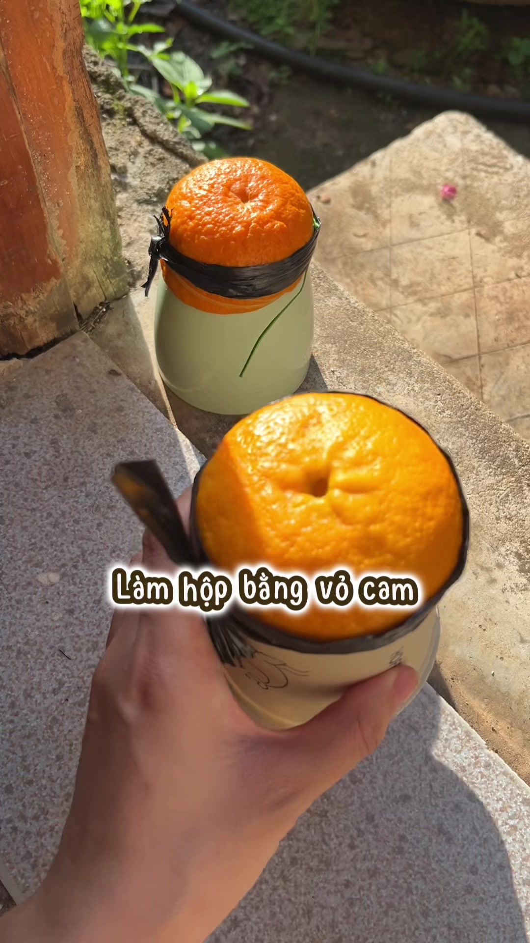 @ThaoJi
