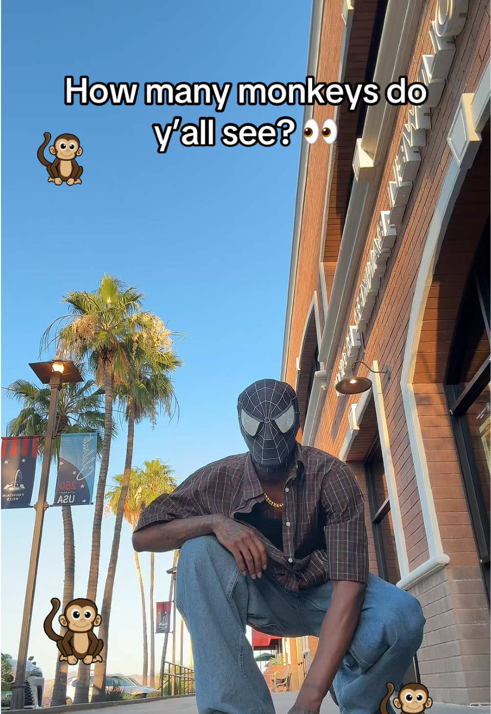 @SPIDA 🕷️