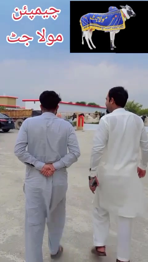 @💝علی بٹ💖 فوجی مل والا💝