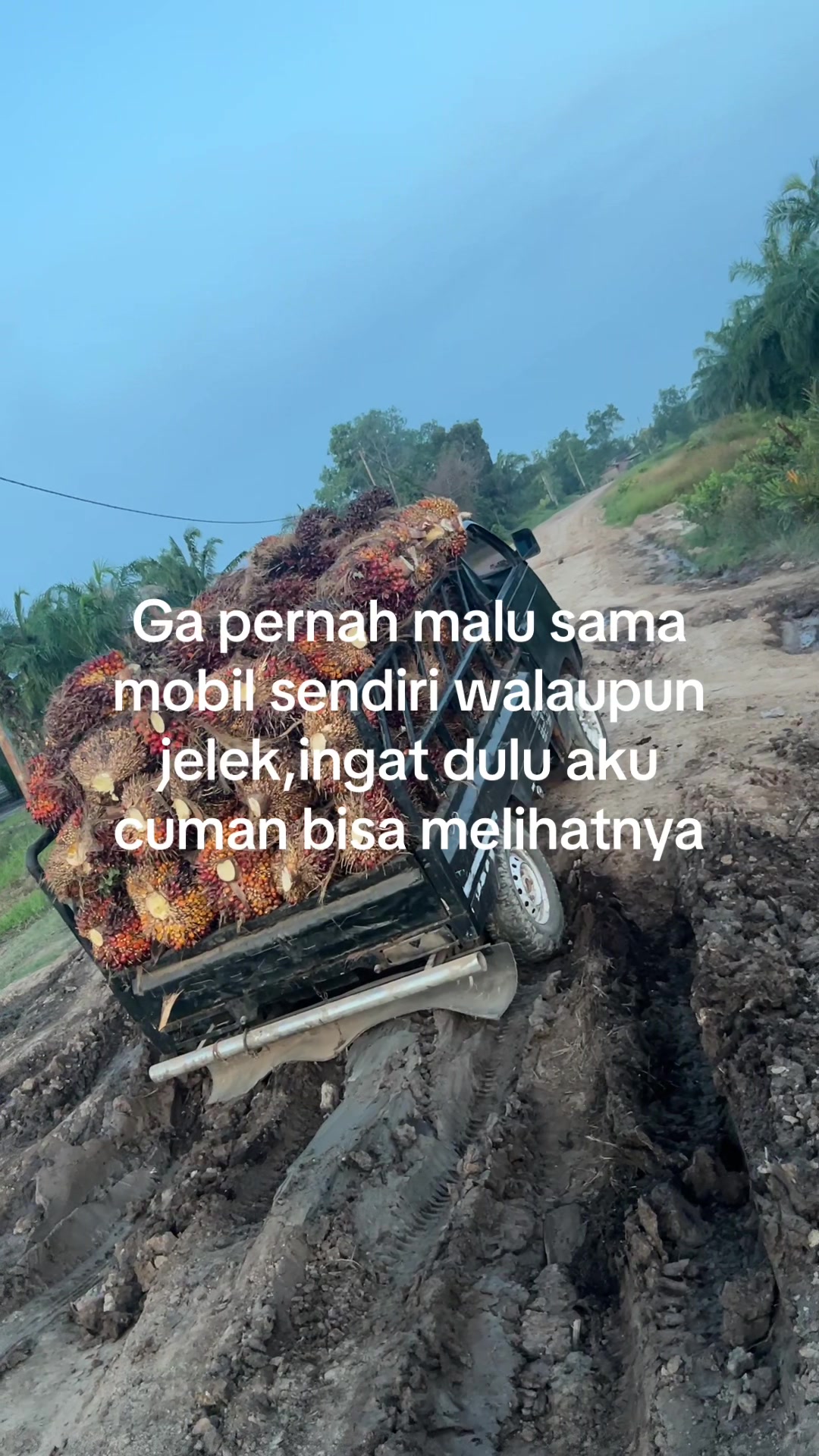 @Nabilll