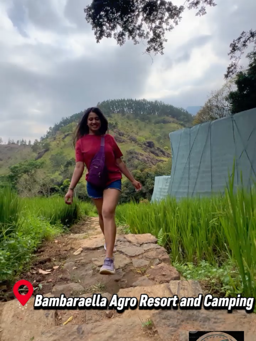 @Taneesha_aluthgedara