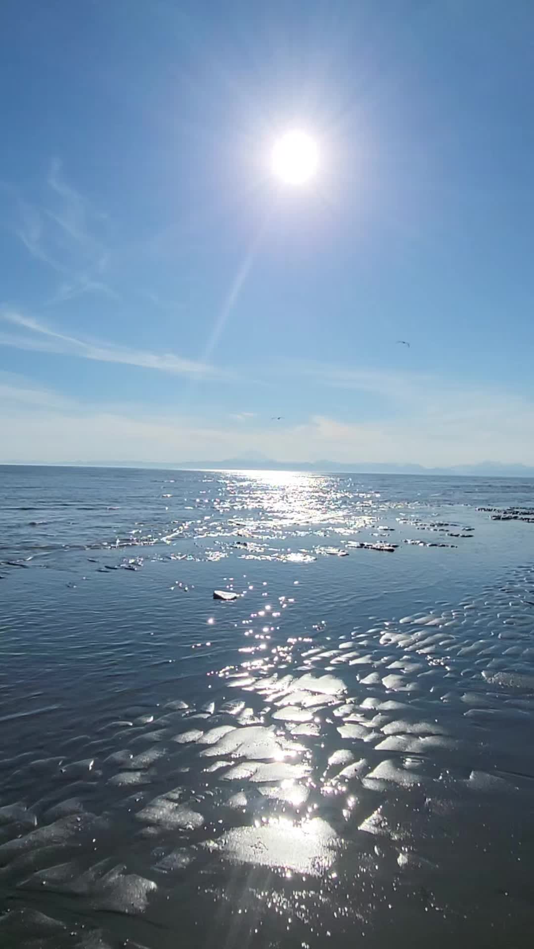 @Hello Alaska