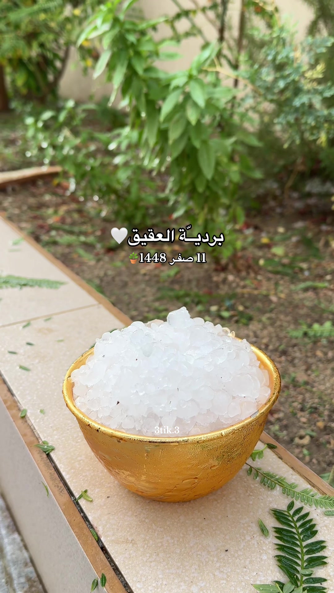 @๐๐
๐๐๐ | ๐๐๐๐๐๐๐♥๏ธ.