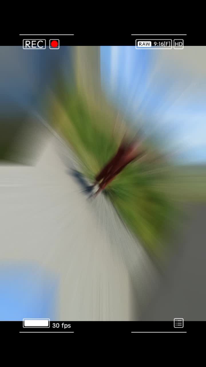 @BASIDA