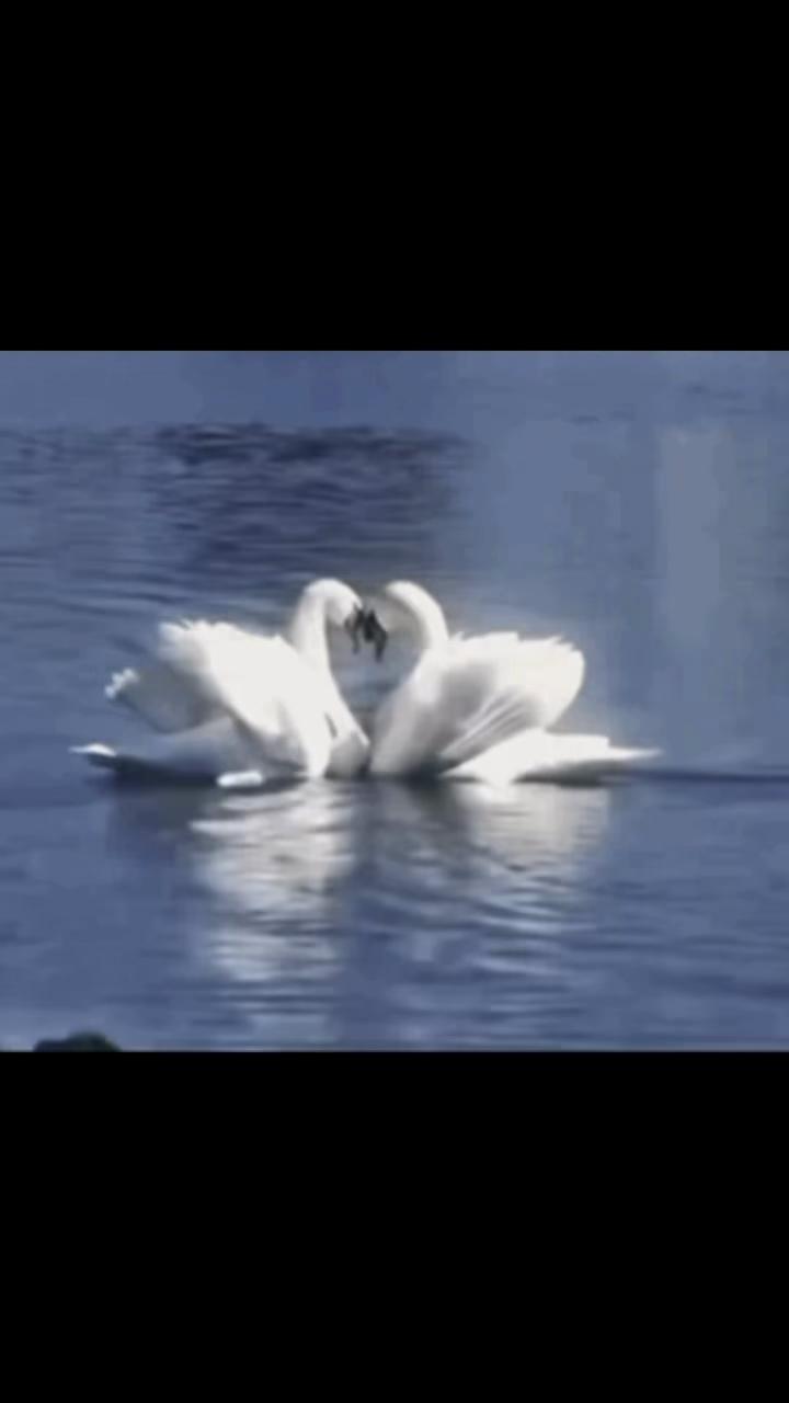 @therewillbeahealing