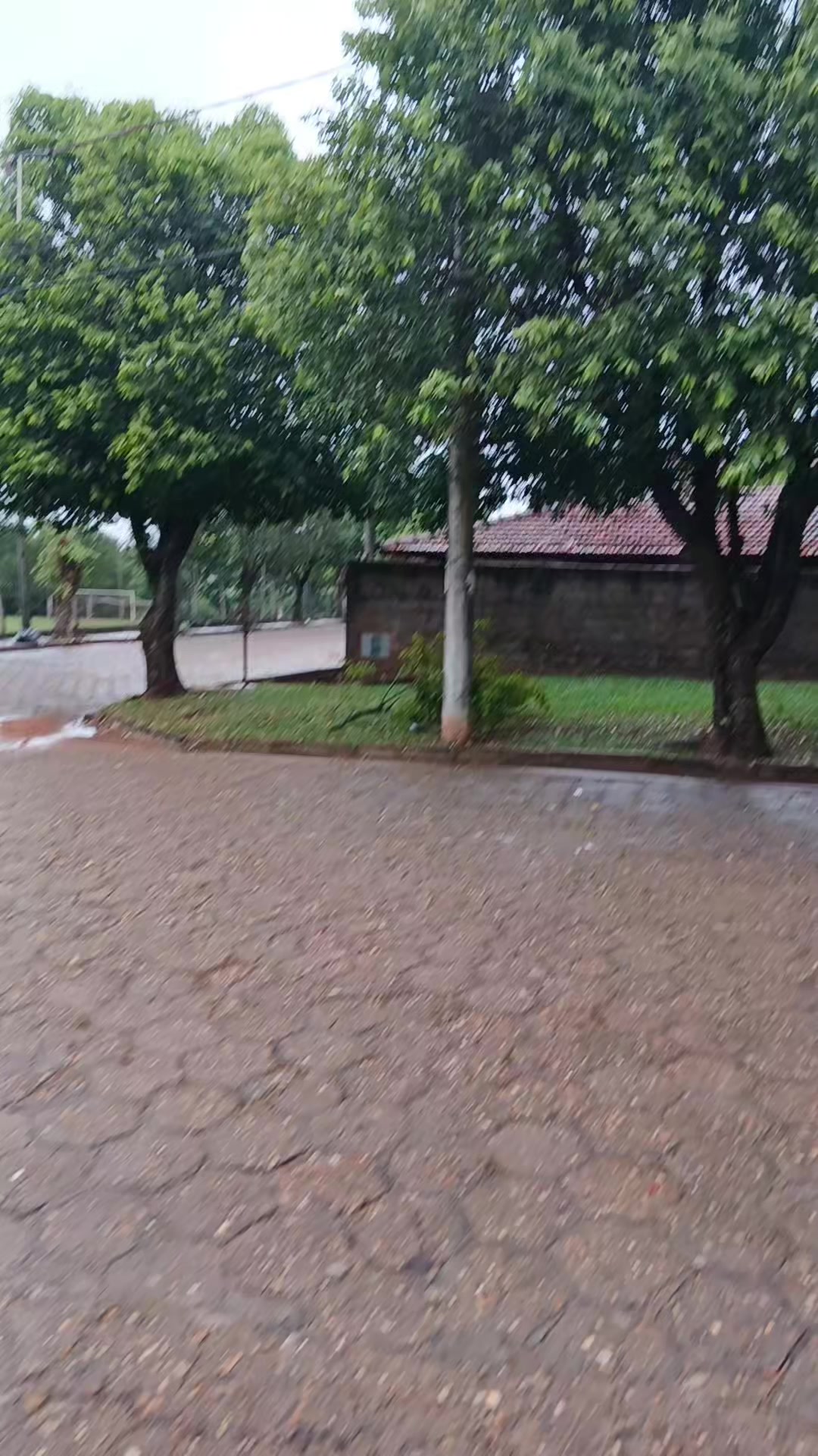 @NeideRodeigues315