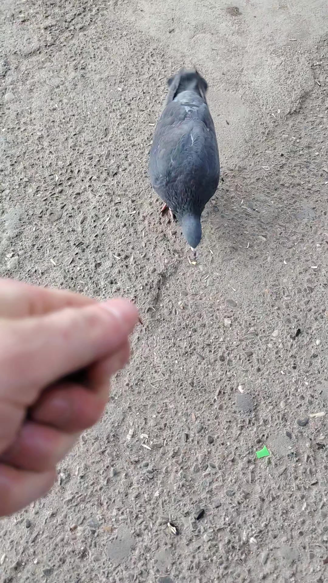 @живи достойно