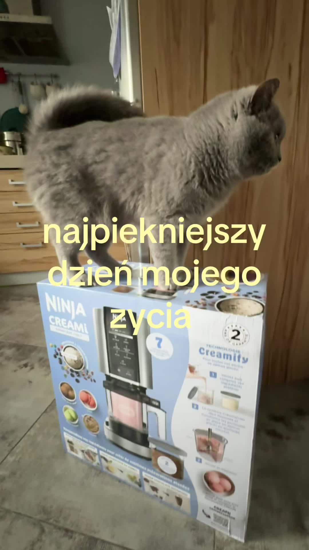 @lenix =^.^=