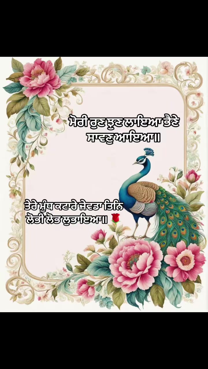 @Paradise Designer