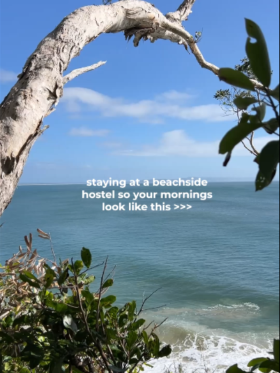 @Bounce Noosa