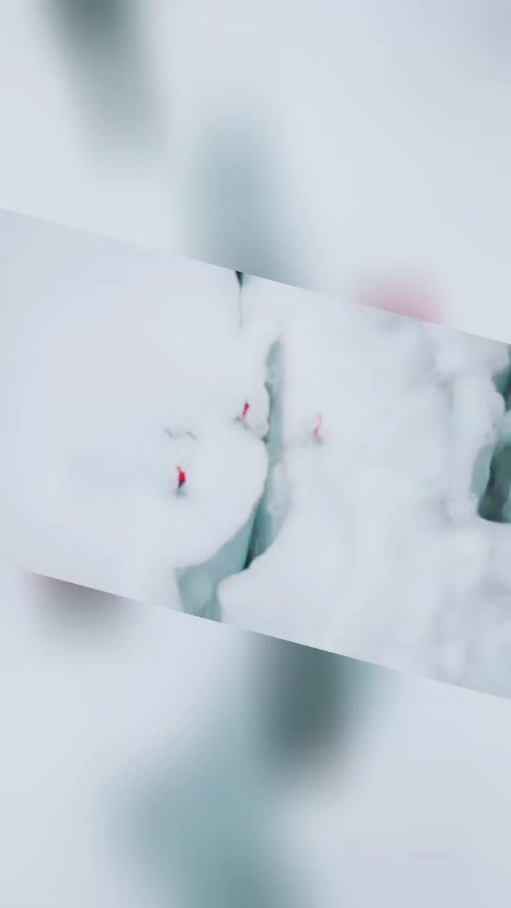 @icefall doctor 2026