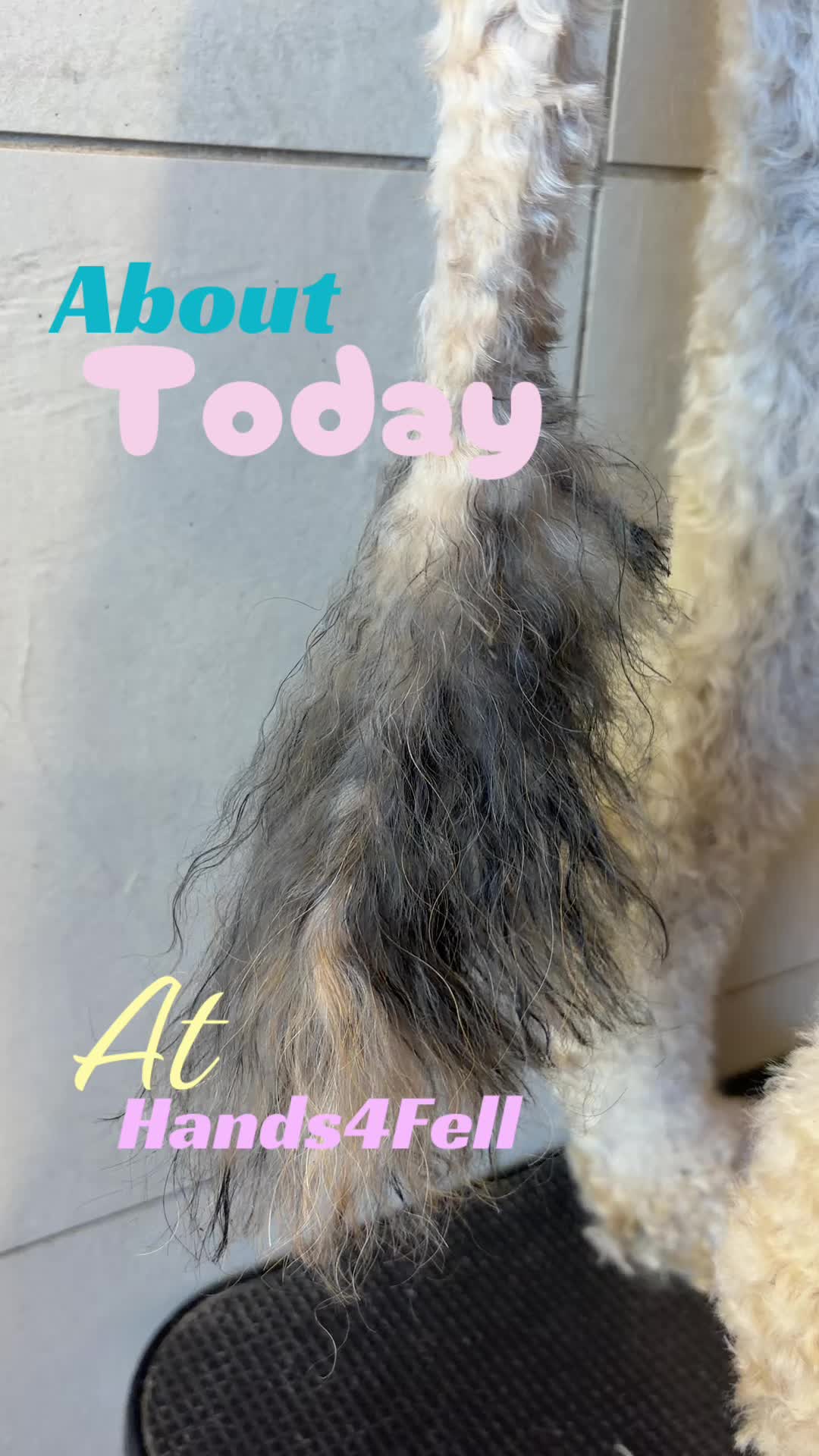 @Hands4Fell & YousPhotography