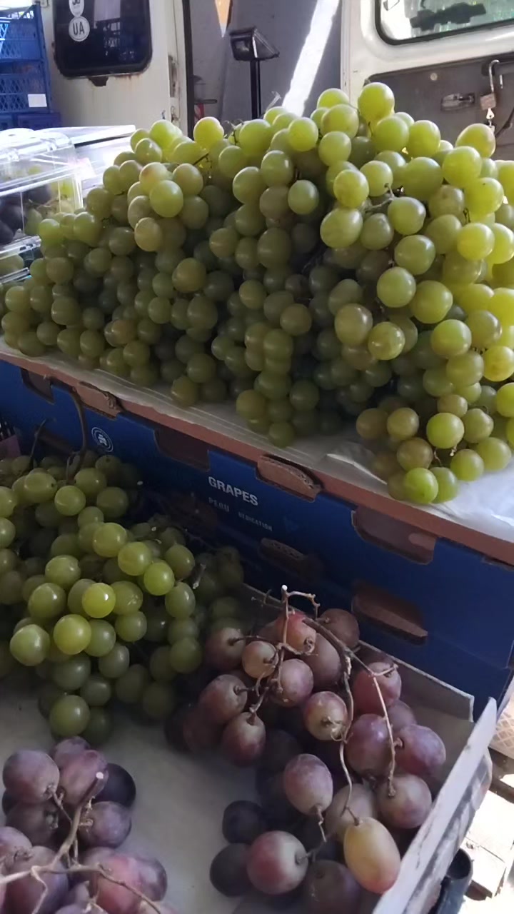 @Джафар Мамедов 🇦🇿🇺🇦