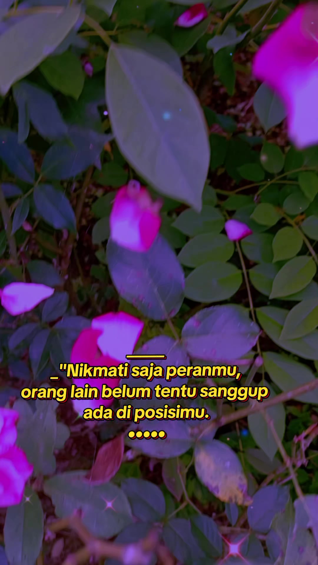 @armi