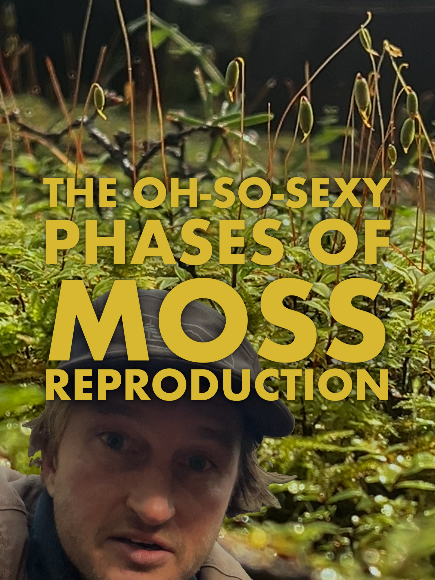 @Nerdy About Nature (Ross Reid)