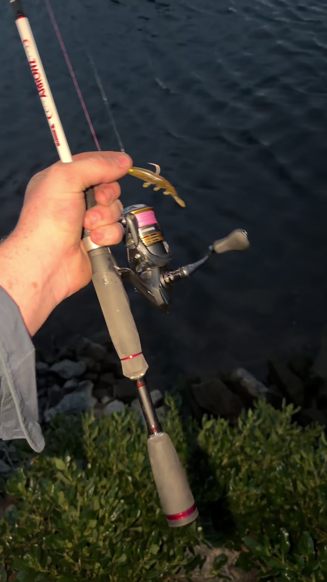 @fishing_southtas