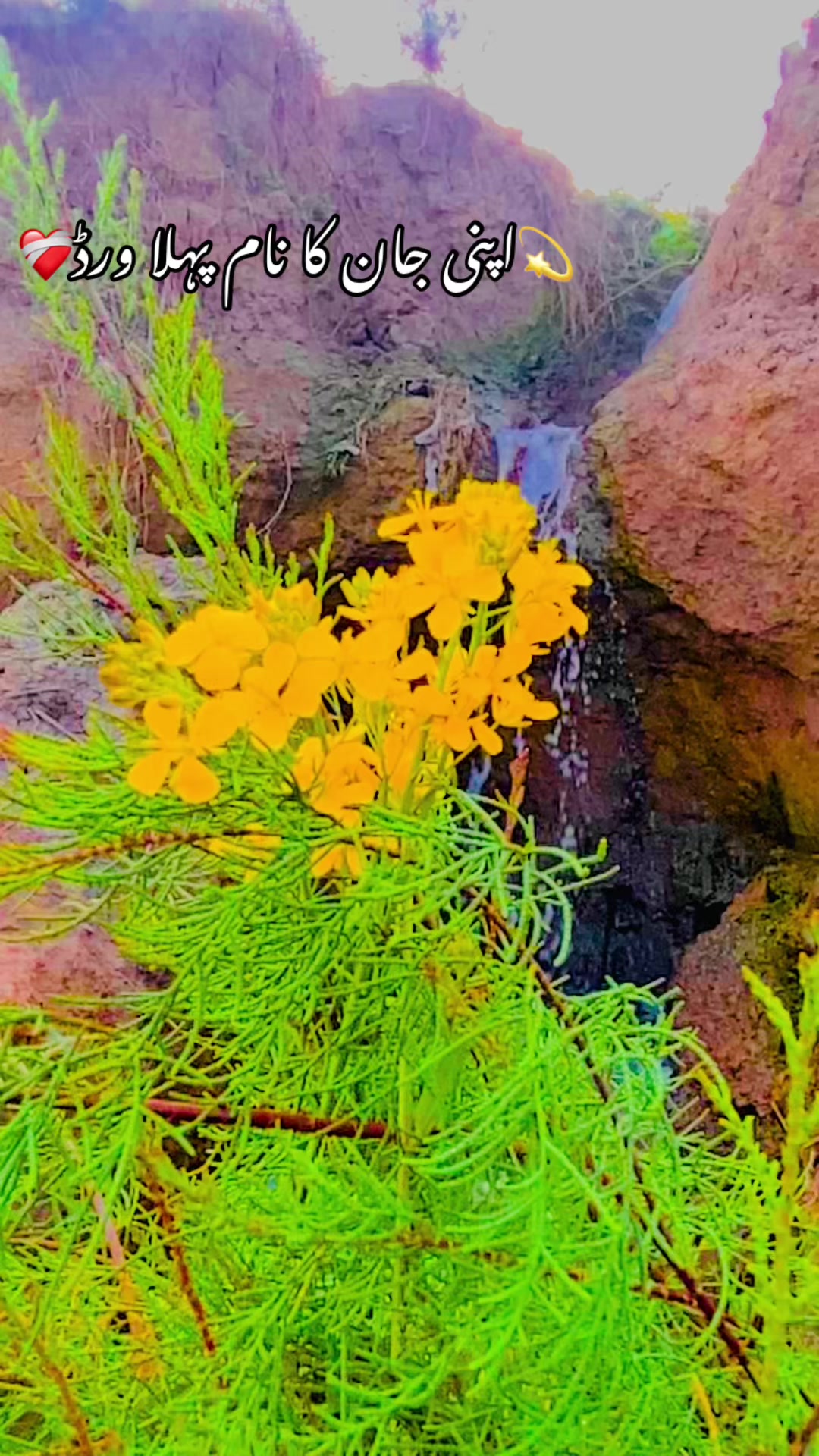 @🥬🎗️پنڈاں آے 🌺