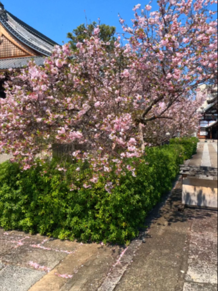 @美しい日本 感動の旅