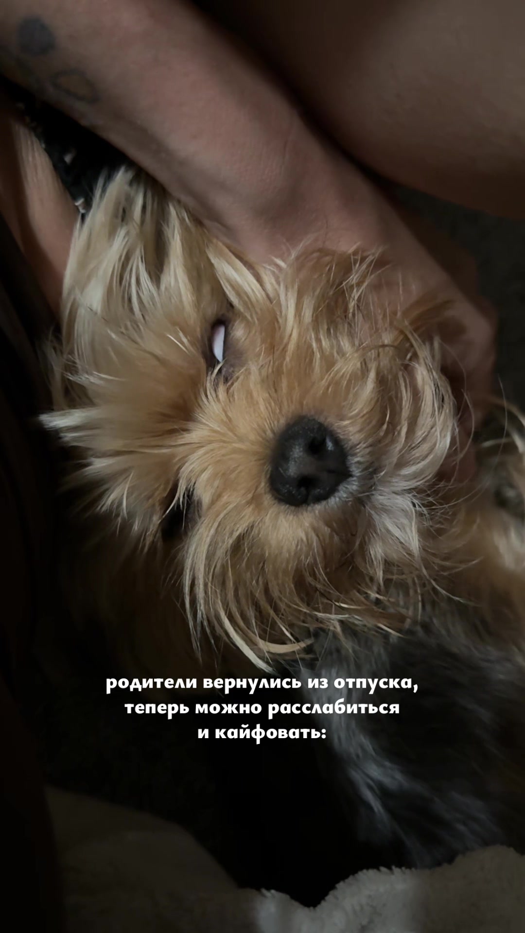 @лера и йорк толик