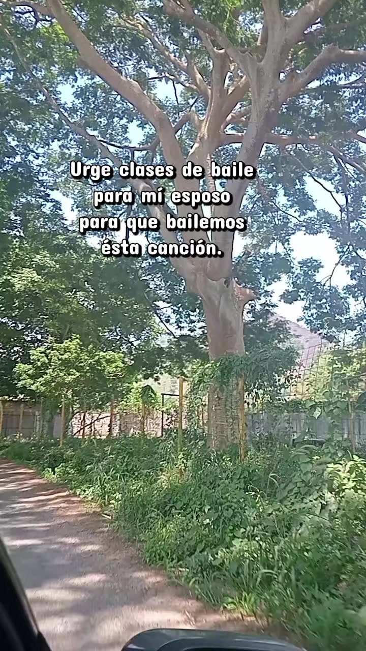 @ISABEL P R