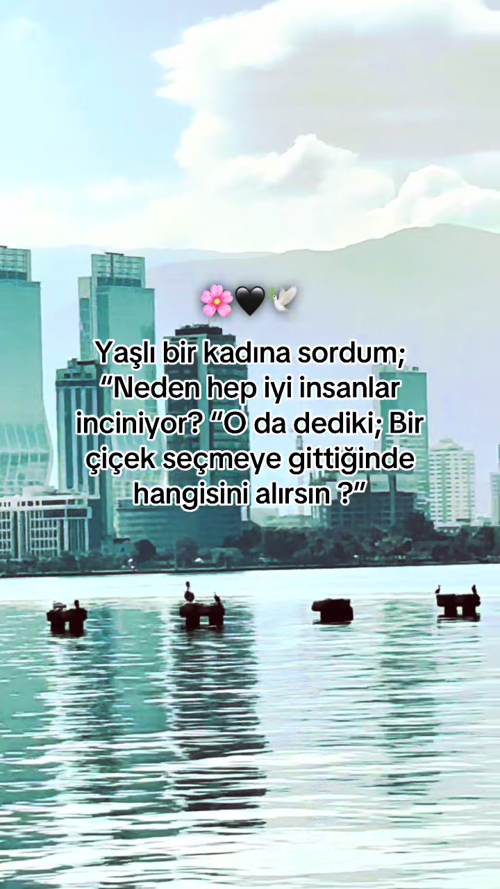 @storhanem63.01