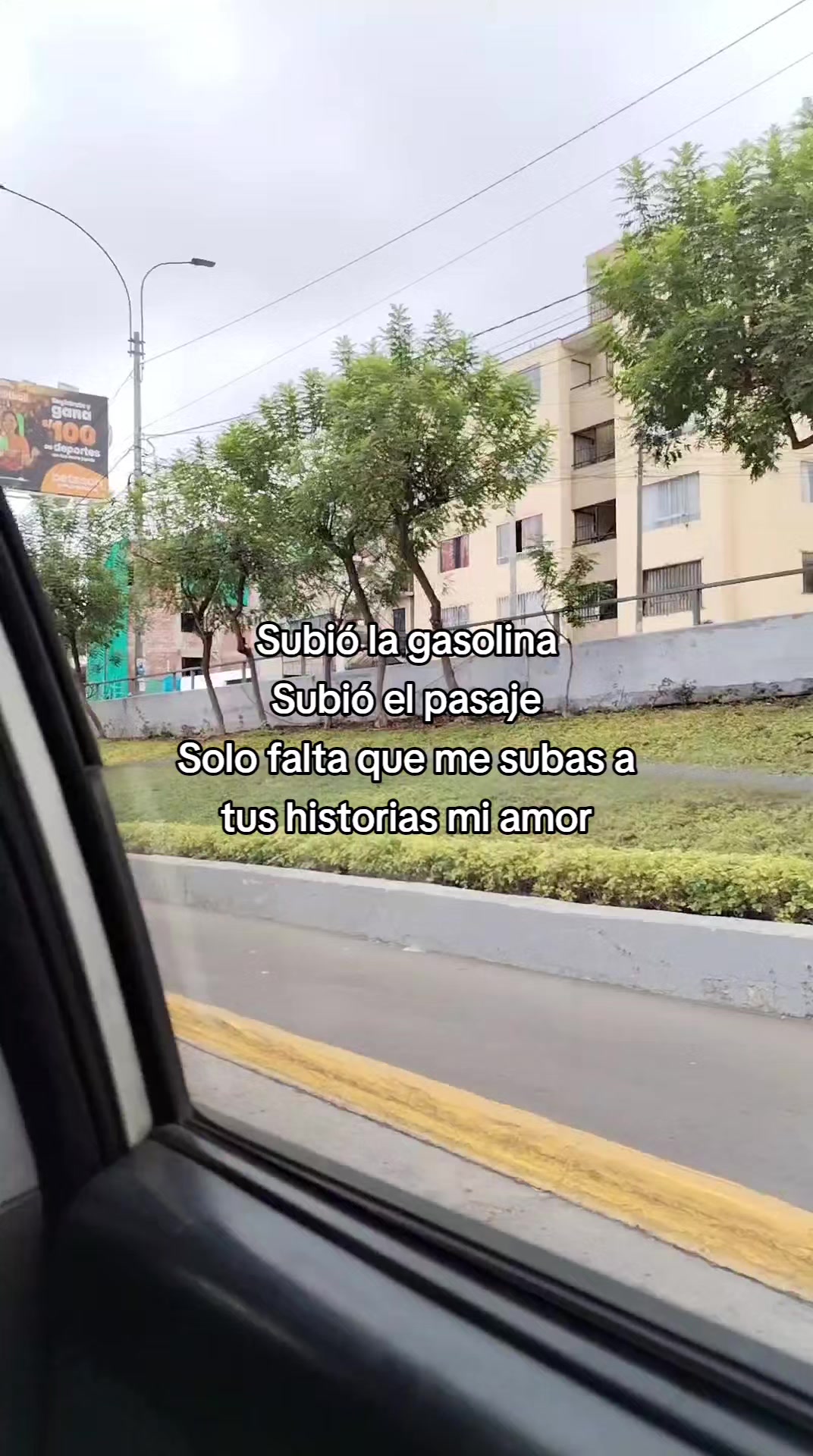 @Aracely Villanueva