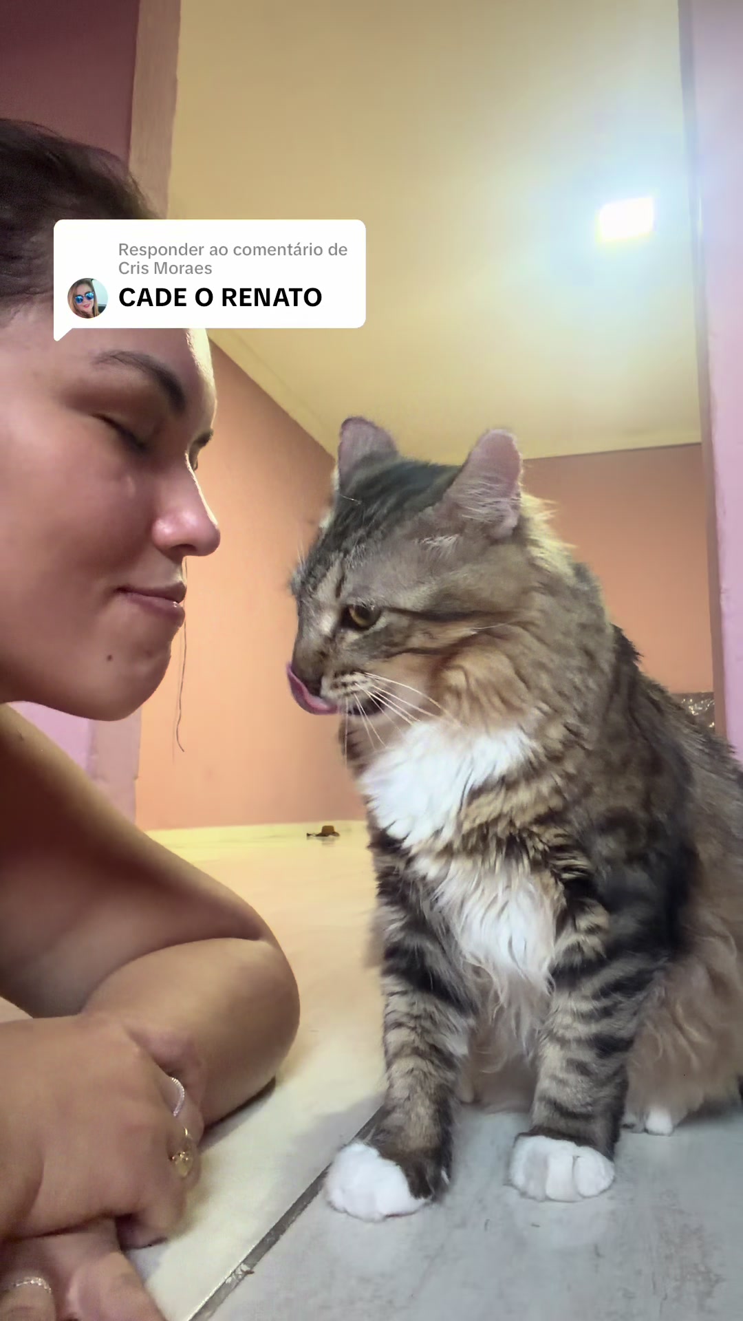 @ogatorenatinho