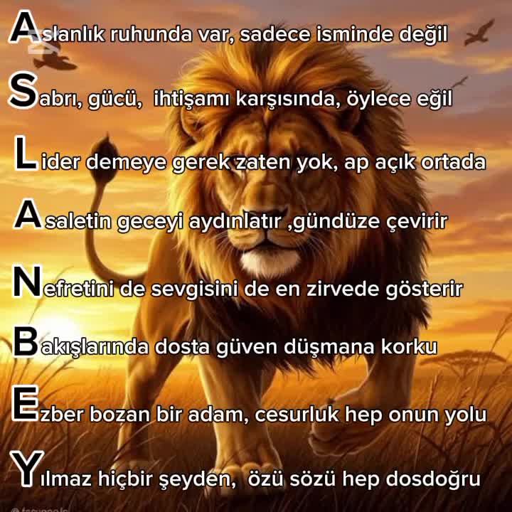 @✅tuysal55✅