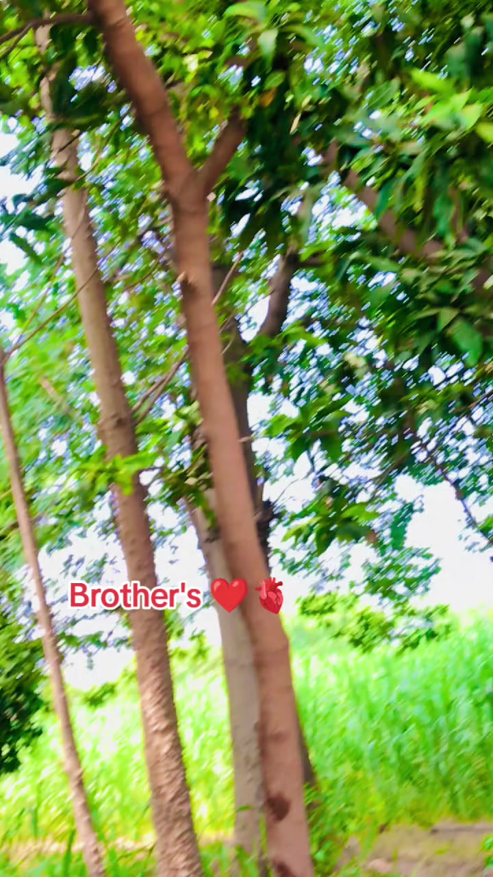 @☠️ملک تابعی اعوان⛎