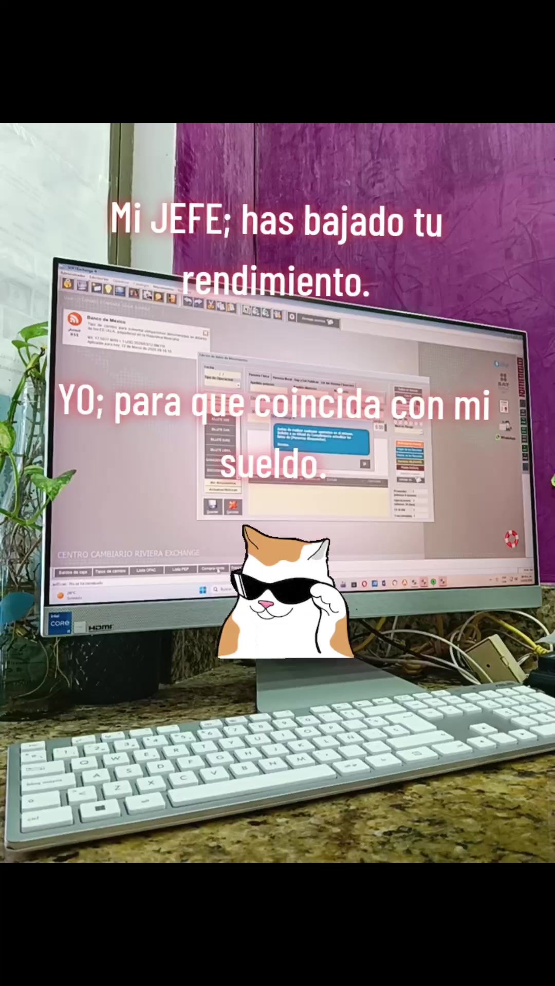 @VIP